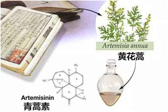 乐鱼手机官网（上海）有限公司,：向中医药看齐，与世界共享中医药文化(图1)